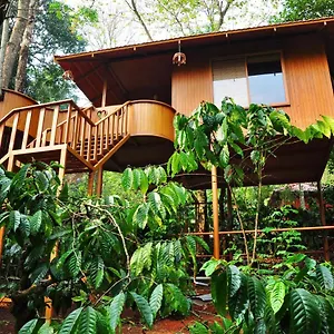 3* Resort Planet Plantation Resorts, Wayanad, Kerala