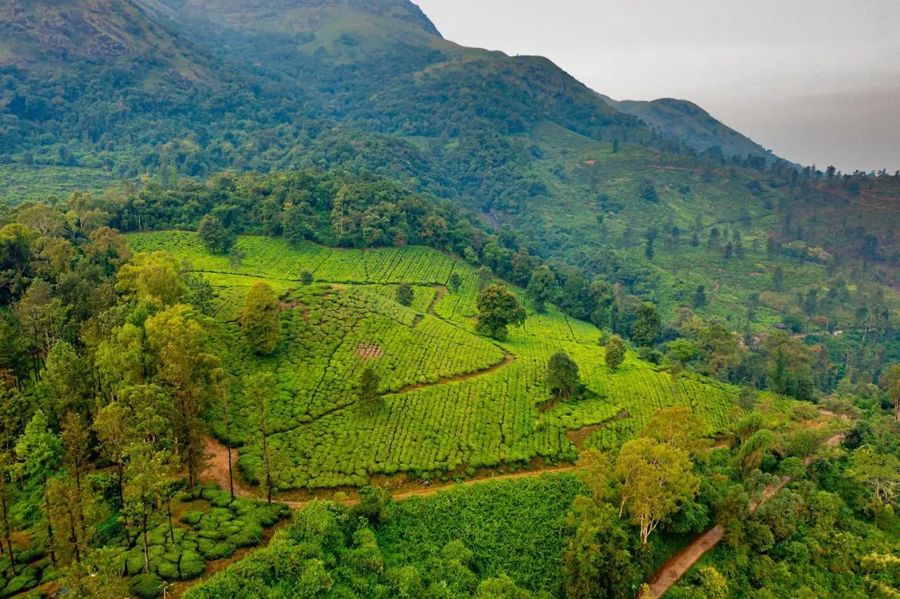 Hostel Zostel Plus Wayanad Kalpetta