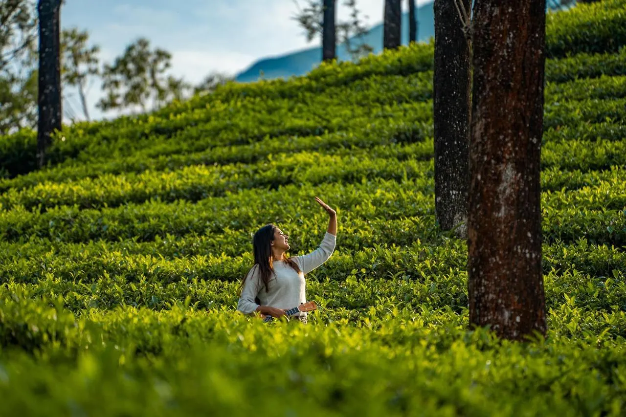 Zostel Plus Wayanad Kalpetta