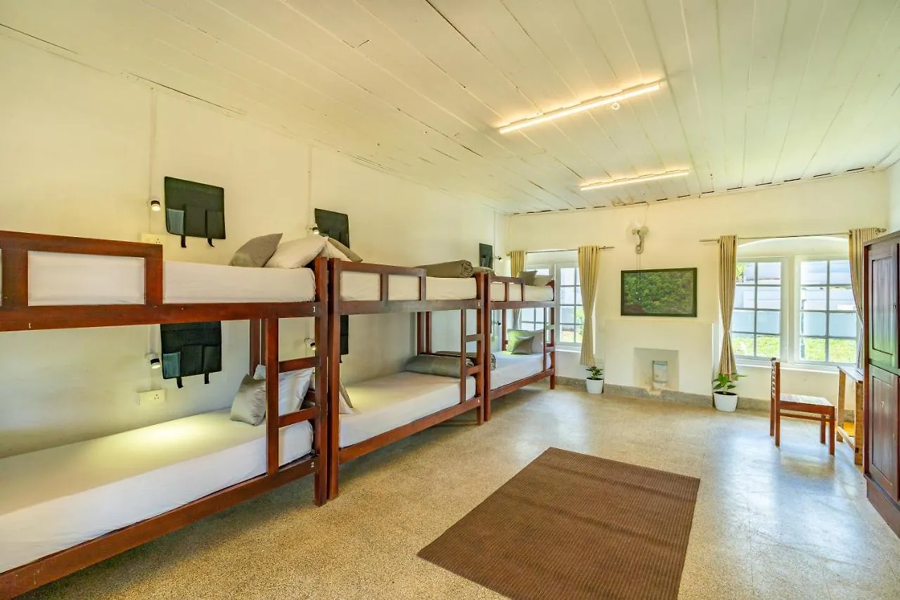 Zostel Plus Wayanad Kalpetta India