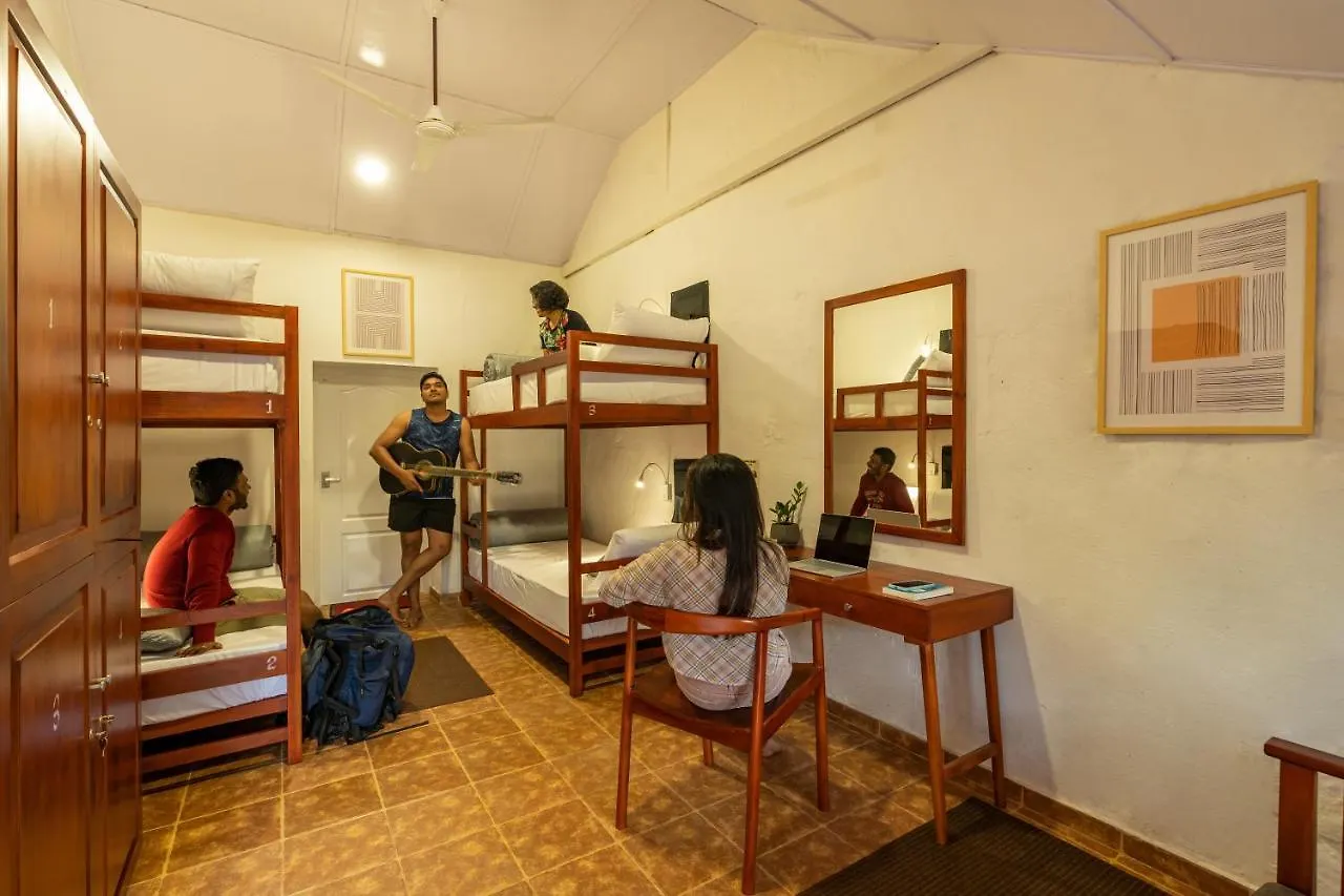 Zostel Plus Wayanad Kalpetta India