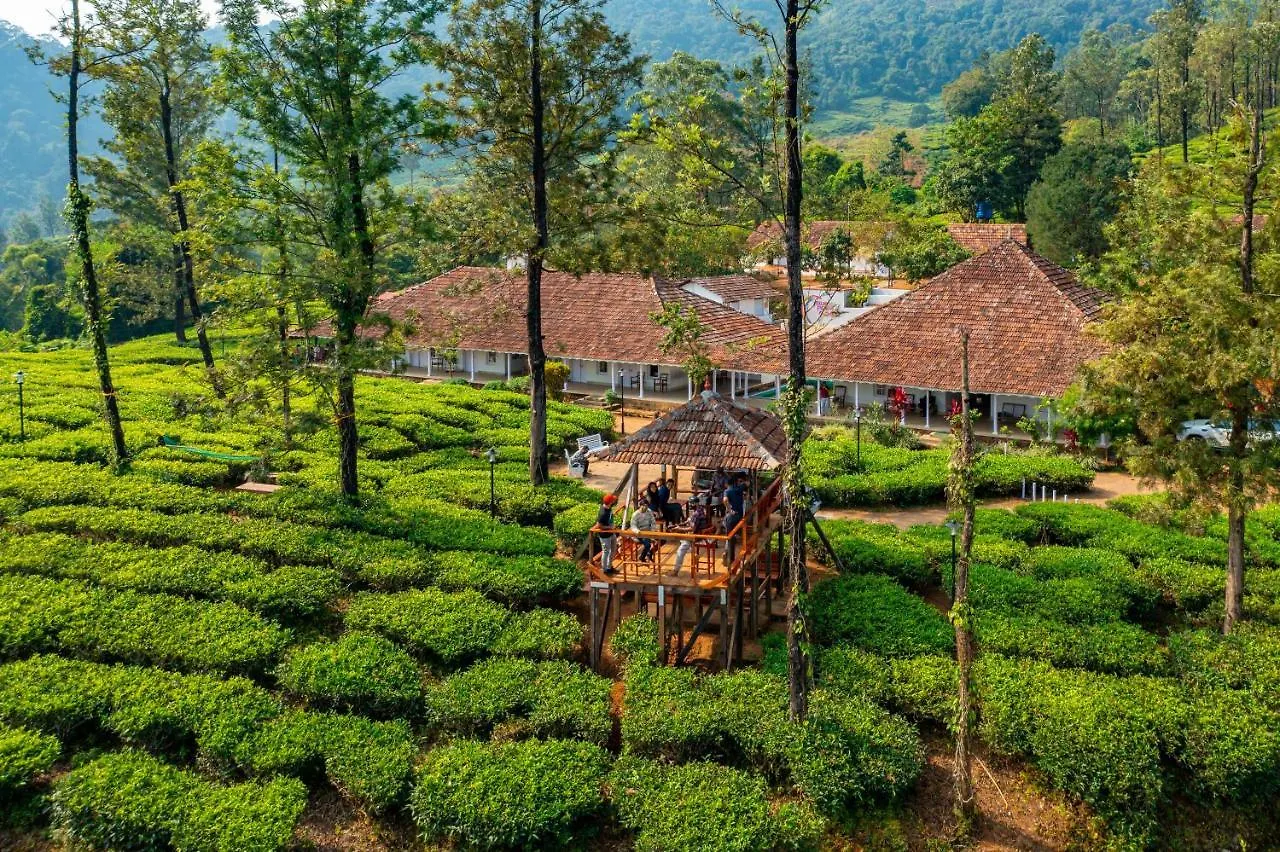 Zostel Plus Wayanad Kalpetta Hostel