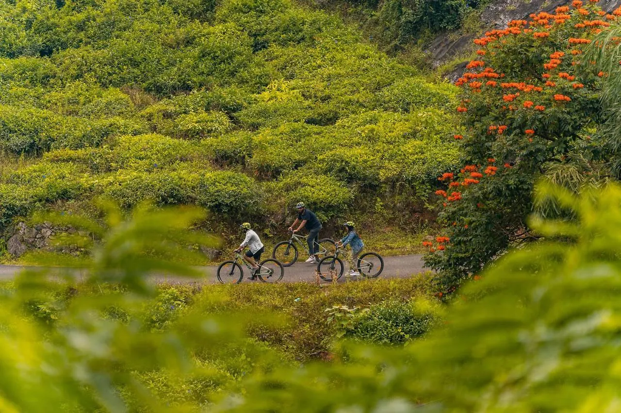 Zostel Plus Wayanad Kalpetta