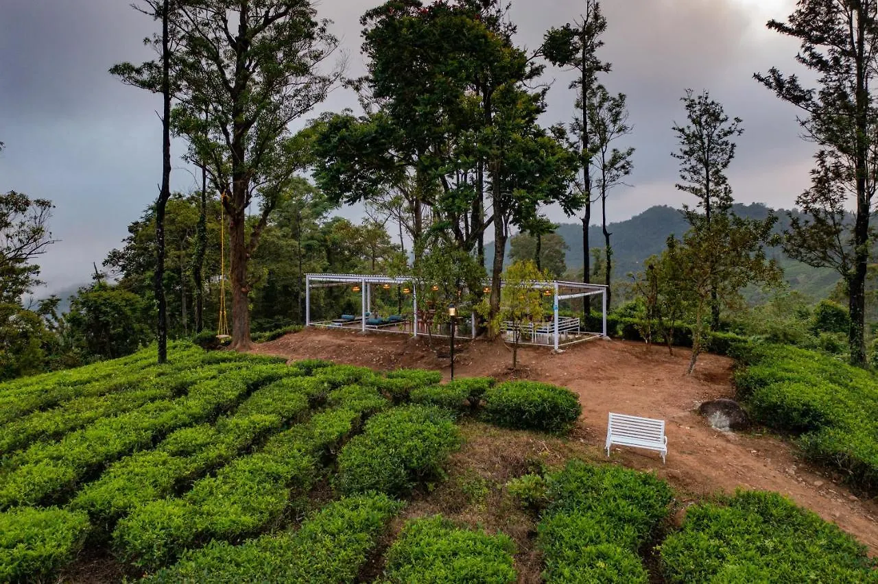 Zostel Plus Wayanad Kalpetta