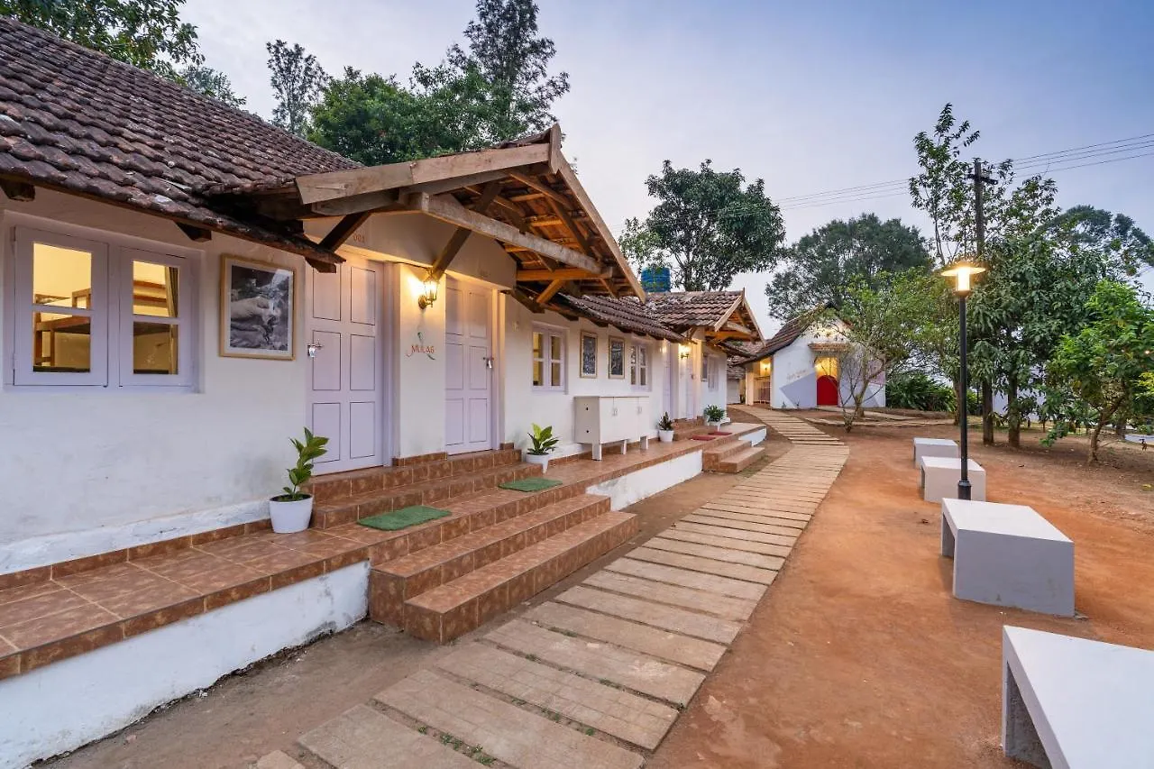 Zostel Plus Wayanad Kalpetta Hostel