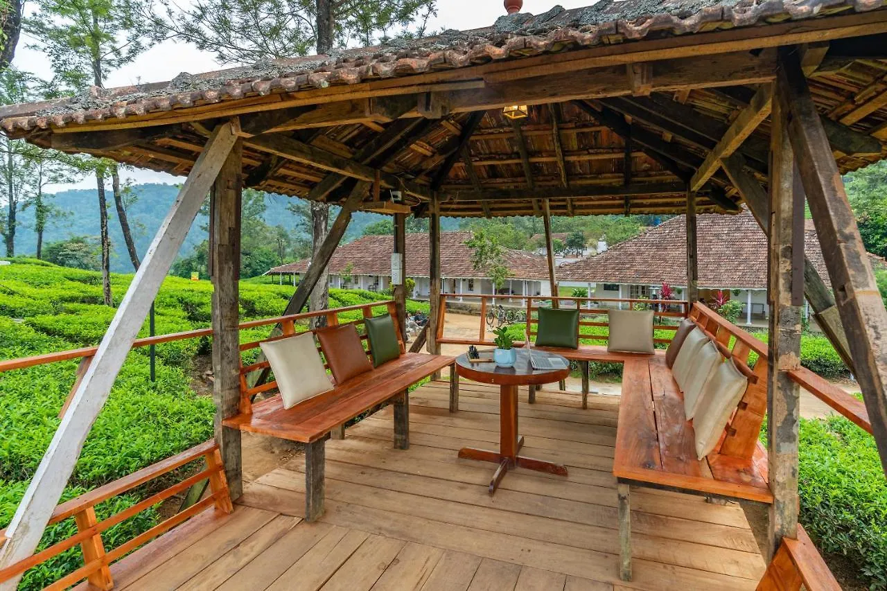 Zostel Plus Wayanad Kalpetta Hostel