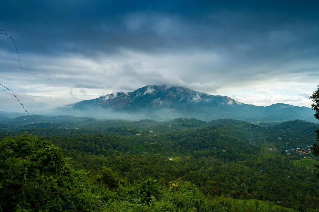 Zostel Plus Wayanad Kalpetta