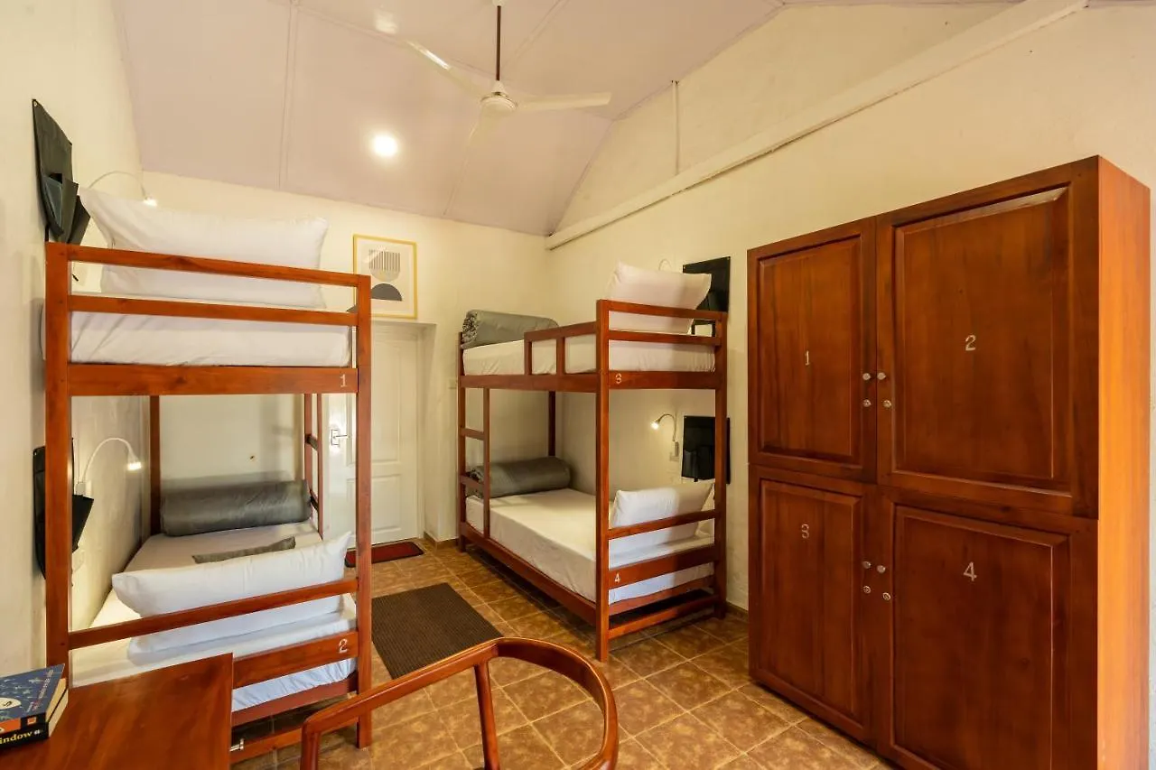 Zostel Plus Wayanad Kalpetta India