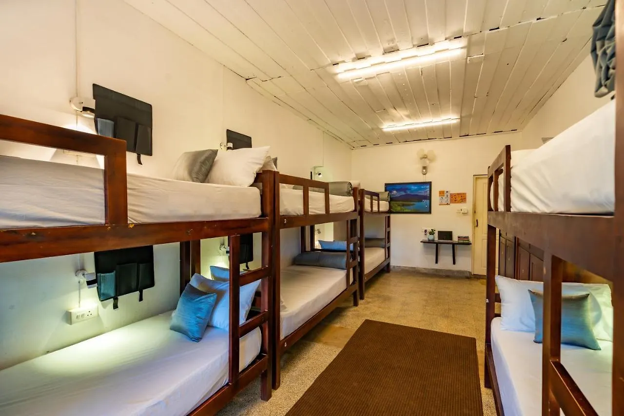 Zostel Plus Wayanad Kalpetta Hostel
