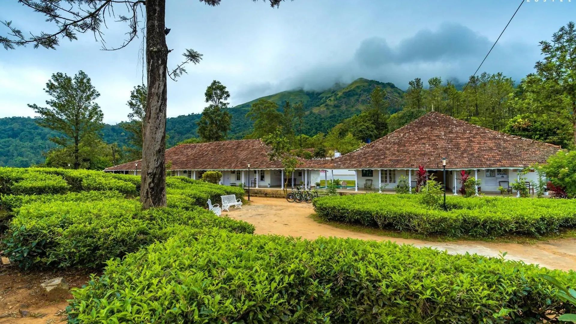Zostel Plus Wayanad Kalpetta